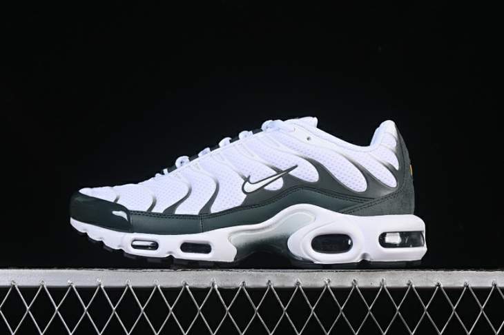 Picture of Air Max Plus _SKUfw21169693177496944fw